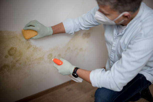 Best Crawl Space Mold Removal  in Muscle Shos, AL